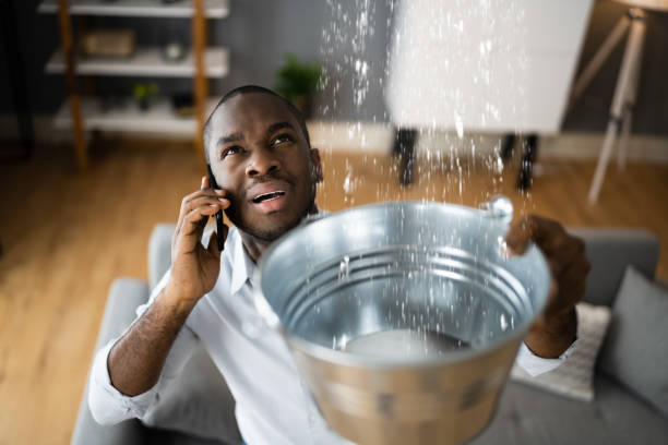 Best Water damage restoration process  in Connellsville, PA