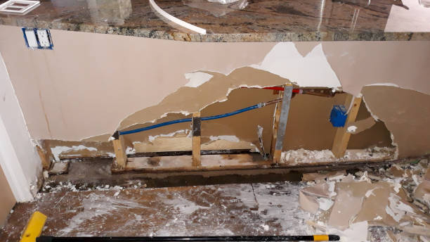 Best Professional water damage repair  in Connellsville, PA