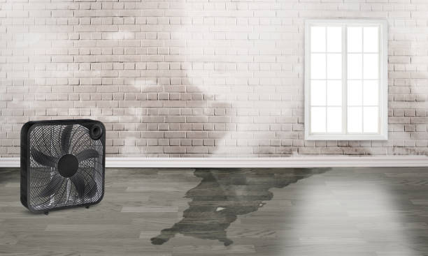 Water damage restoration process in Connellsville, PA