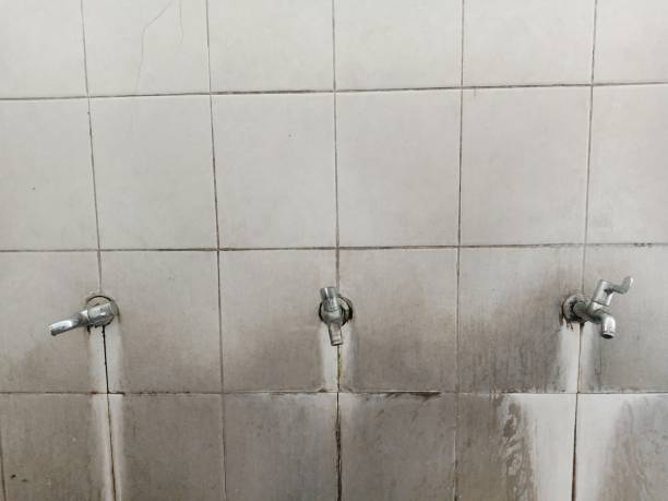 Best Ceiling water damage repair  in Connellsville, PA
