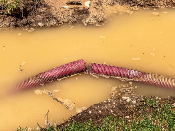 Best Water damage restoration near me  in Connellsville, PA