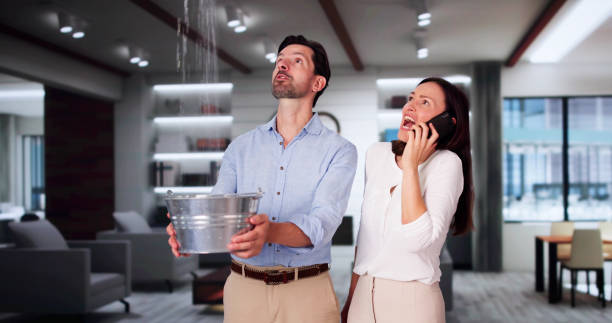 Best Water damage contractors near me  in Connellsville, PA