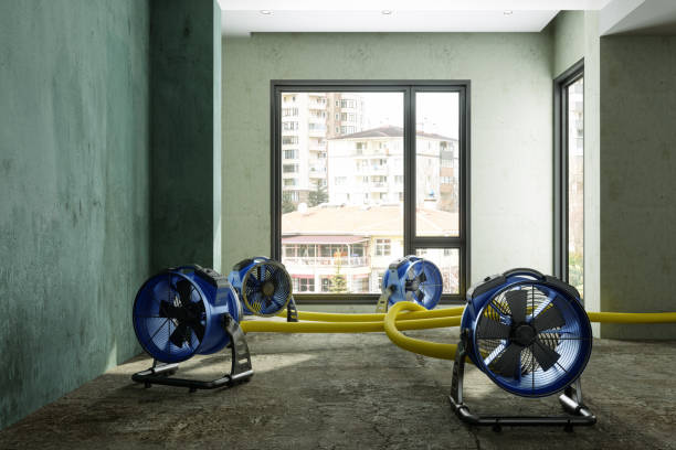Best Commercial water damage restoration  in Connellsville, PA