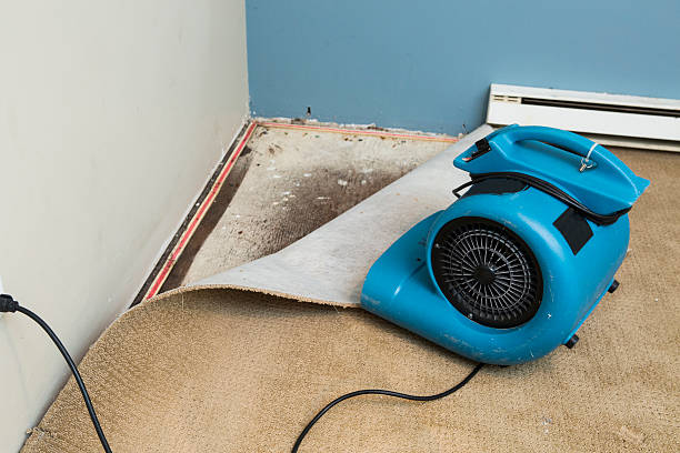 Reliable Connellsville, PA Water damage restoration Solutions